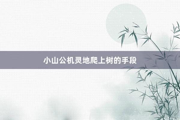 小山公机灵地爬上树的手段